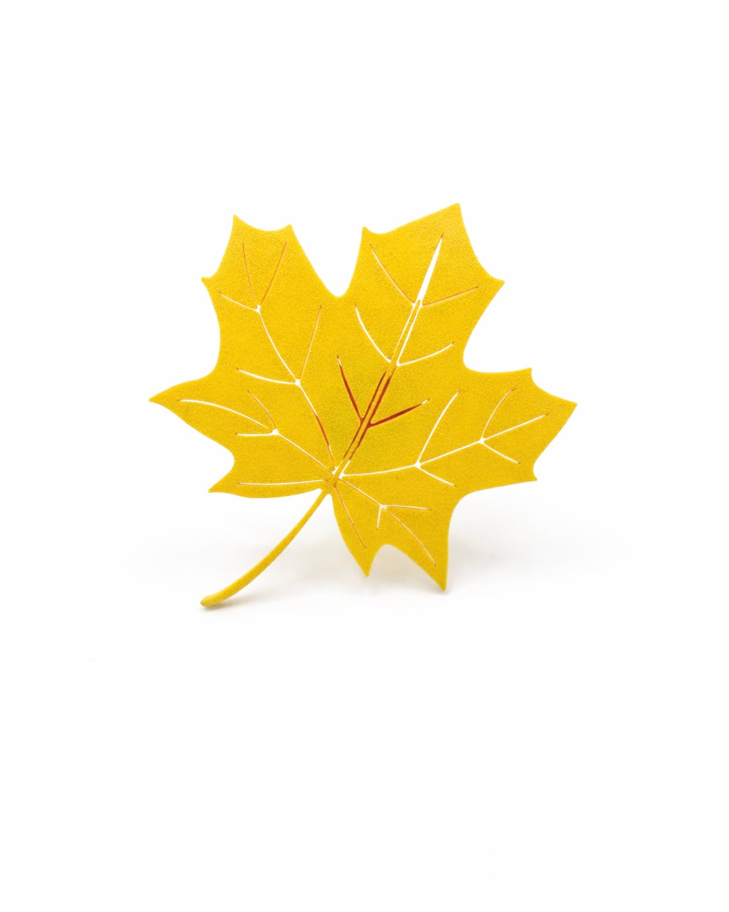 Maple Leaf Hides